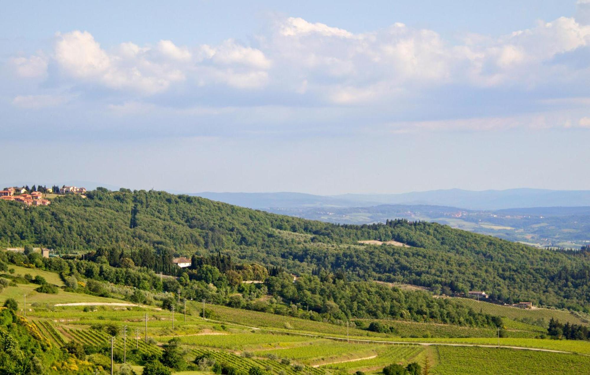 Galletto Nero Panzano in Chianti Esterno foto